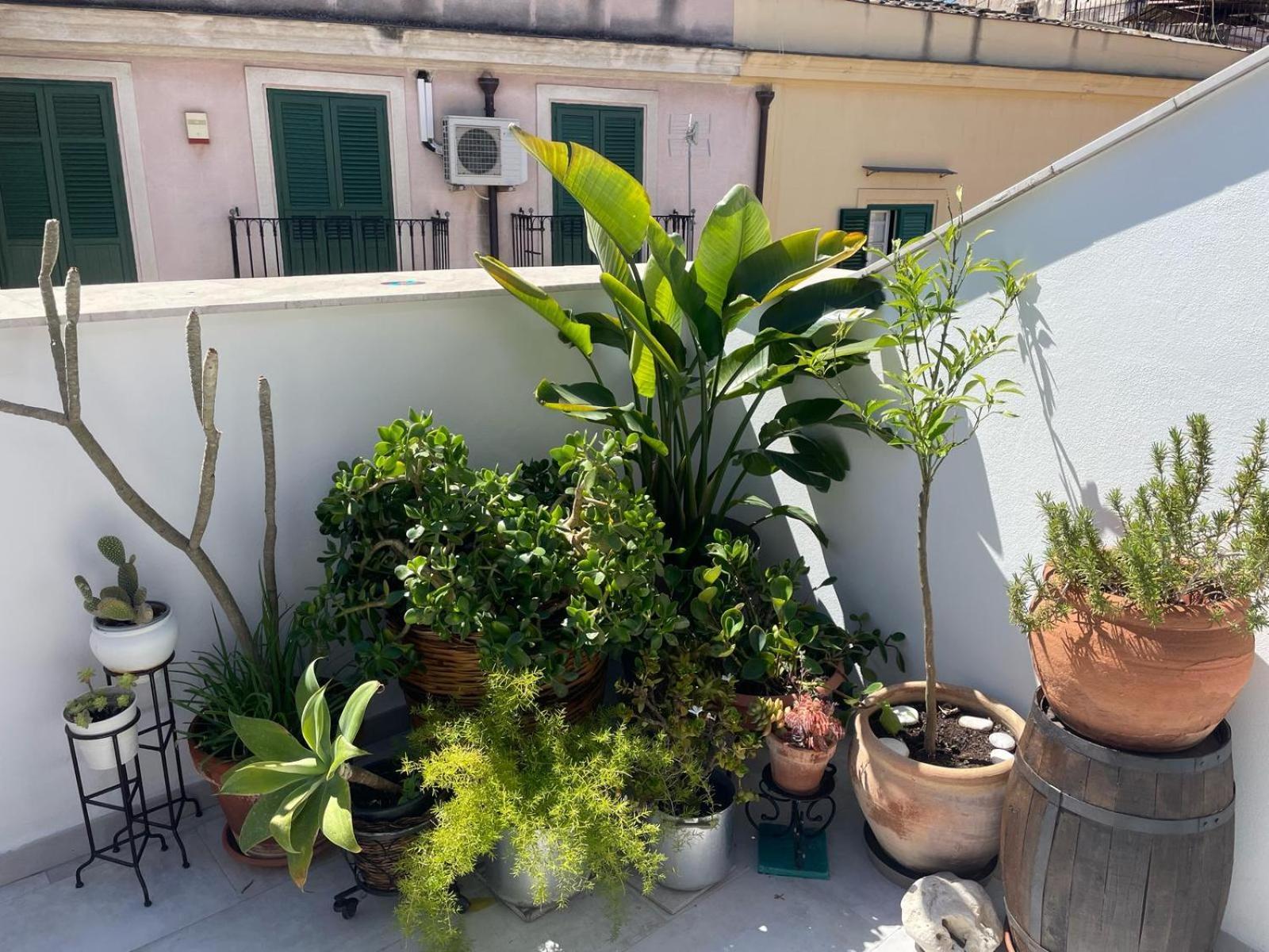 Terrazza Cala Affittacamere